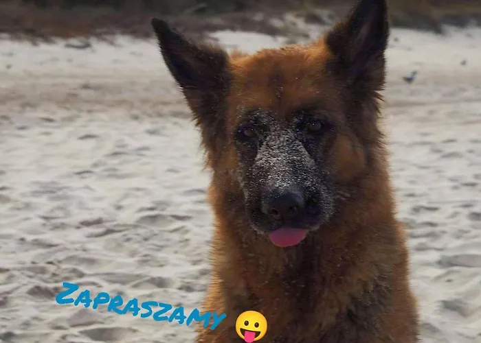 Alloggio in famiglia Dilla